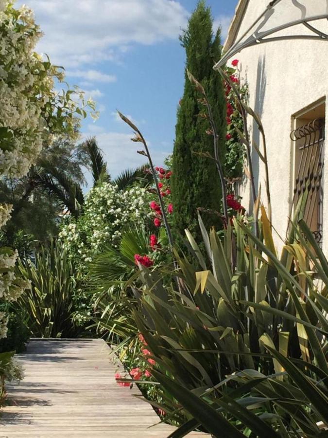 La Villa Vaihere En Camargue, L'Hibiscus Et Le Magnolia Saintes-Maries-de-la-Mer Exterior photo