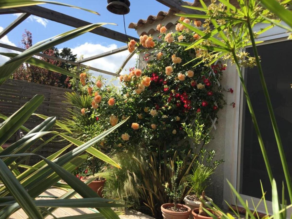 La Villa Vaihere En Camargue, L'Hibiscus Et Le Magnolia Saintes-Maries-de-la-Mer Exterior photo